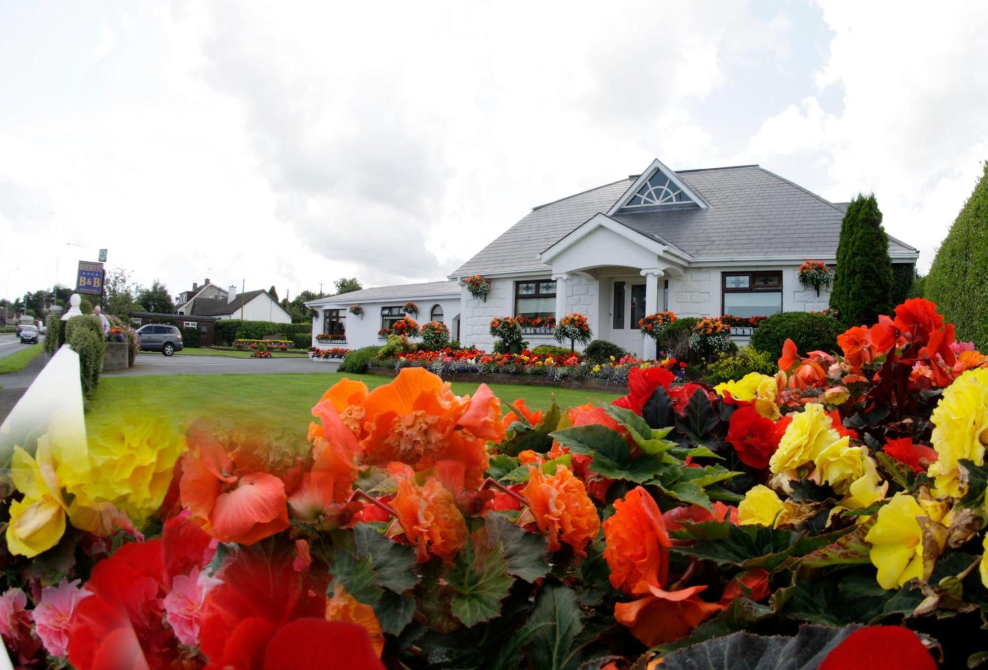 Rosemount B&B Dundalk Exterior foto